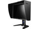 Монитори BenQ PG2401PT