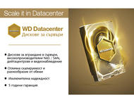 Твърди дискове 500GB Western Digital RE WD1004FBYZ