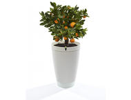 Smart Home Parrot POT - бяло