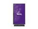 Монитори BenQ PV3200PT