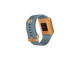 Смарт часовници Fitbit Ionic - Slate Blue/Burnt Orange