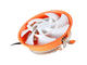 Охладители Segotep CPU Cooler FRSTCST-T1 Intel/Amd