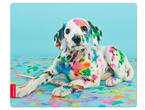 Падове Speedlink SILK Mousepad Puppy