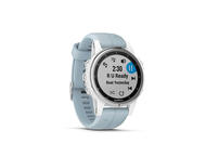 Смарт часовници Garmin fenix 5S Plus, бял