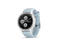 Смарт часовници Garmin fenix 5S Plus, бял