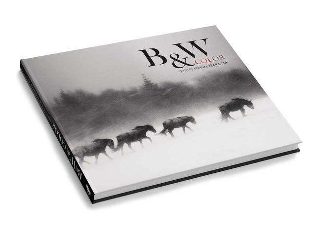 Джаджи Black&White & Color