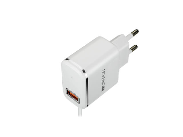 Зарядни устройства Canyon H-043 CNE-CHA043WS