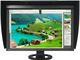 Монитори Eizo Color Edge CG245W
