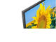 Телевизори Sony KD-49XF8096