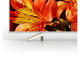 Телевизори Sony KD-43XF8577