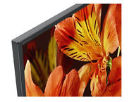 Телевизори Sony KD-43XF8505