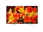 Телевизори Sony KD-55XF8596