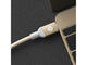 Кабели и Адаптери Adam Elements CaSa B200 USB-C to USB-C Cable, Gold