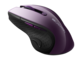 Мишки Canyon MW-01 CNS-CMSW01P