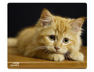 Падове Speedlink SILK, Cat