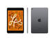 Таблети Apple iPad mini 5 Wi-Fi 256GB - Space Grey