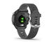 Смарт часовници Garmin Forerunner 245 Grey