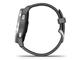 Смарт часовници Garmin Vivoactive 4 Shadow Gray/Silver