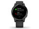 Смарт часовници Garmin Vivoactive 4S Black/Slate