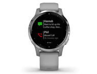 Смарт часовници Garmin Vivoactive 4S Powder Gray/Silver