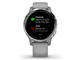 Смарт часовници Garmin Vivoactive 4S Powder Gray/Silver