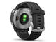 Смарт часовници Garmin Fenix 6S Silver with Black Band