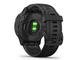 Смарт часовници Garmin Fenix 6S Pro Black with Black Band