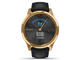 Смарт часовници Garmin Vivomove Luxe 24K Gold/Black Embossed