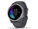 Смарт часовници Garmin Venu Silver Stainless Steel/Granite Blue