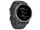 Смарт часовници Garmin Venu Silver Stainless Steel/Granite Blue