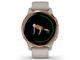 Смарт часовници Garmin Venu Rose Gold Stainless Steel/Light Sand