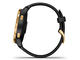 Смарт часовници Garmin Venu Gold Stainless Steel/Back