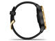 Смарт часовници Garmin Venu Gold Stainless Steel/Back
