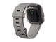 Смарт часовници Fitbit Versa 2 Stone/Mist Grey