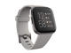 Смарт часовници Fitbit Versa 2 Stone/Mist Grey