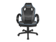 Геймърски столове Fury Avenger S, Black-Grey