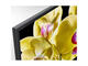 Телевизори Sony KD-55XG8096