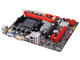 Дънни платки Biostar A960D+