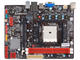 Дънни платки Biostar A55MLC2