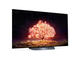 Телевизори LG OLED55B13LA