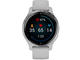 Смарт часовници Garmin Venu 2S Silver/Mist Gray