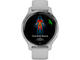 Смарт часовници Garmin Venu 2S Silver/Mist Gray