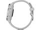 Смарт часовници Garmin Venu 2S Silver/Mist Gray