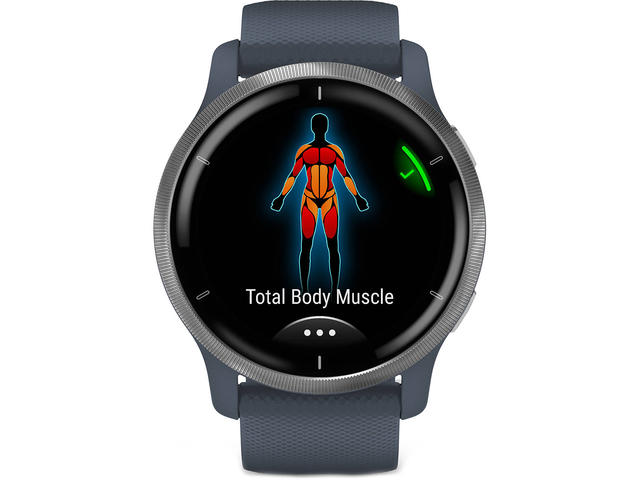 Смарт часовници Garmin Venu 2  Silver/Granite Blue