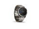 Смарт часовници Garmin Quatix 6 Titanium Grey with Titanium Band 