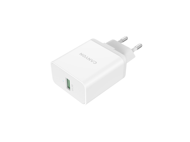 Зарядни устройства Canyon CNE-CHA12W