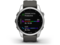 Смарт часовници Garmin Fenix 7S Silver/Graphite