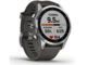 Смарт часовници Garmin Fenix 7S Silver/Graphite