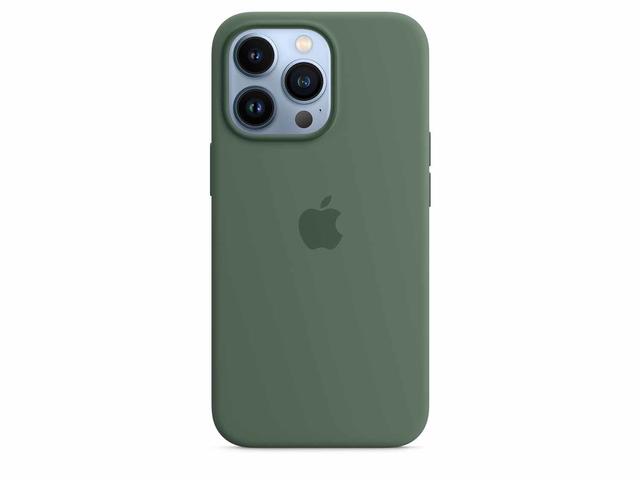 Калъфи Apple iPhone 13 Pro Silicone Case with MagSafe - Eucalyptus (Seasonal Spring 2022)