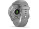 Смарт часовници Garmin Venu 2 Plus Silver Powder Gray